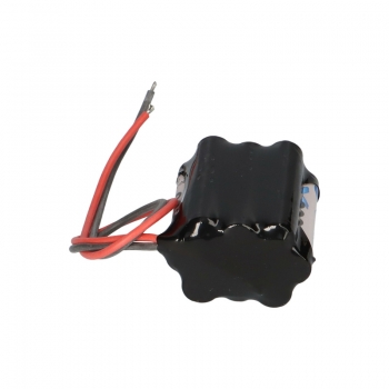 Akkupack Notleuchte mit 12 Volt, 800 mAh.